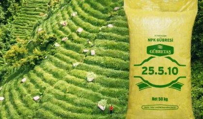 GÜBRETAŞ'tan Gübre Arzı Açıklaması: Tarım Kredi'de Gübre Satışı Durmadı!