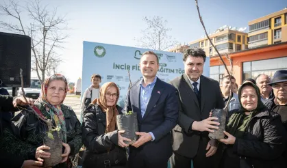 Üreticilere İncir Fidanı Desteği