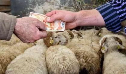 2026 Yılı Kurban Hizmetleri Tebliği 'Resmi'leşti