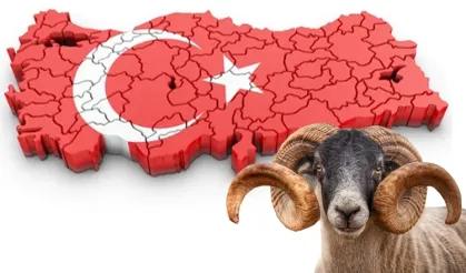 Bayramda Yoğun Güne Ara: Tatil Keyfi Başlıyor!