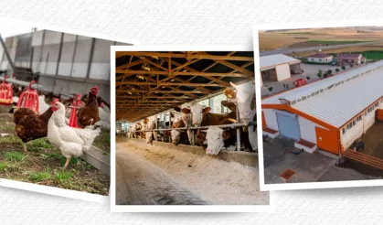 IPARD III Sonuçları Açıklandı... 218 Projeye 2,5 Milyar TL Hibe