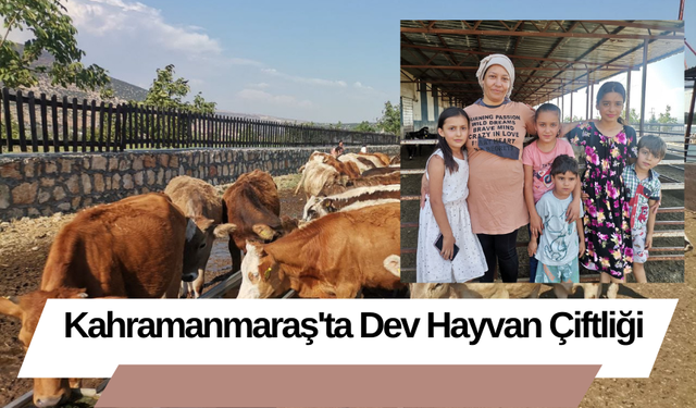 Kahramanmaraş'ta Dev Hayvan Çiftliği