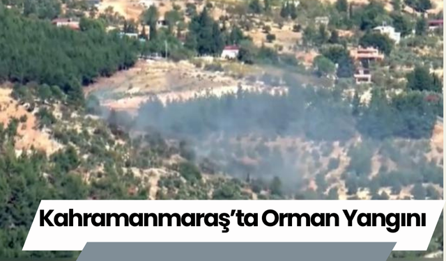 Kahramanmaraş’ta Orman Yangını