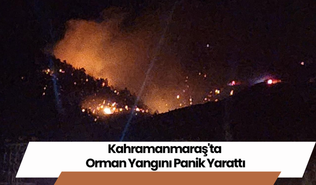 Kahramanmaraş'ta Orman Yangını Panik Yarattı