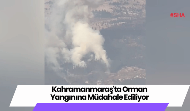 Kahramanmaraş'ta Orman Yangınına Müdahale Ediliyor