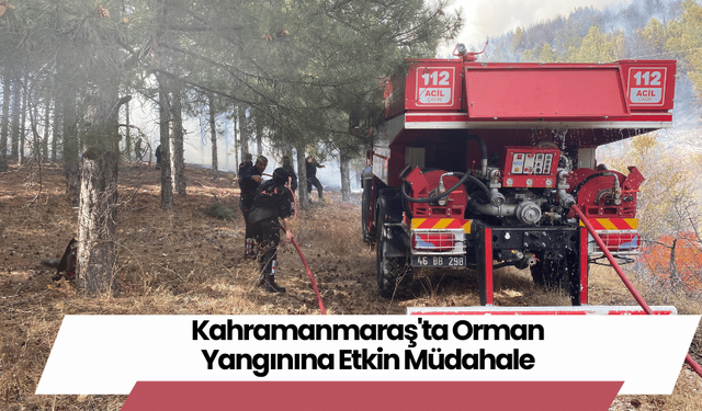 Kahramanmaraş'ta Orman Yangınına Etkin Müdahale