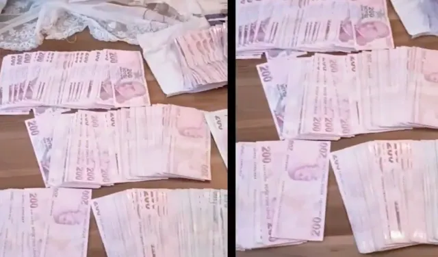 42 İlde 169 FETÖ'cüye Gözaltı!
