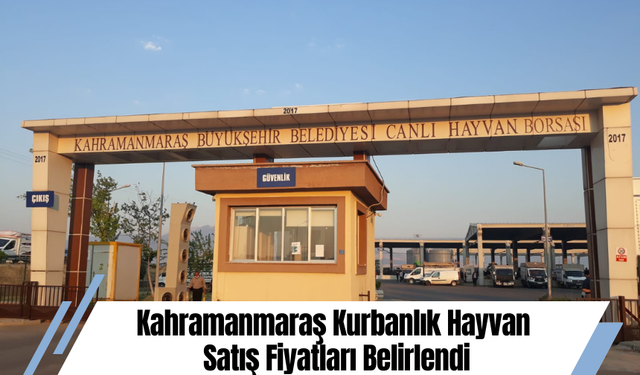 Kahramanmaraş Kurbanlık Hayvan Satış Fiyatları Belirlendi