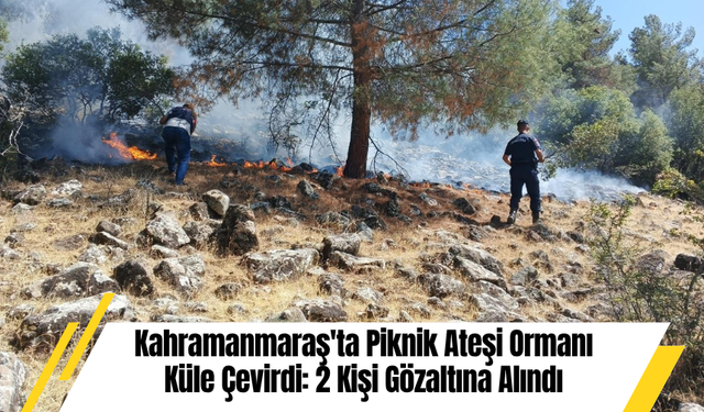 Kahramanmaraş'ta Piknik Ateşi Ormanı Küle Çevirdi: 2 Kişi Gözaltına Alındı