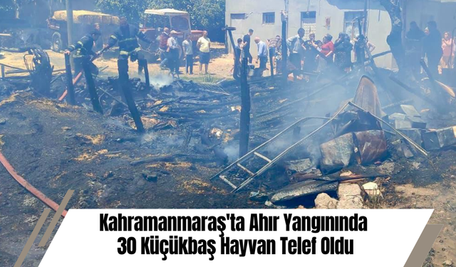 Kahramanmaraş'ta Ahır Yangınında 30 Küçükbaş Hayvan Telef Oldu