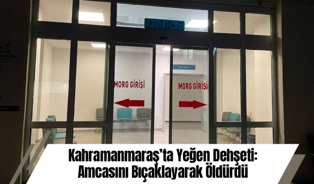 Kahramanmaraş’ta Yeğen Dehşeti: Amcasını Bıçaklayarak Öldürdü