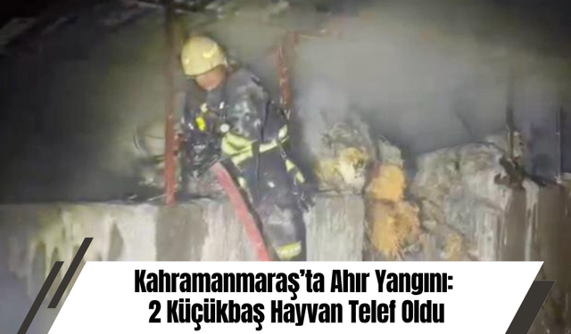 Kahramanmaraş’ta Ahır Yangını: 2 Küçükbaş Hayvan Telef Oldu