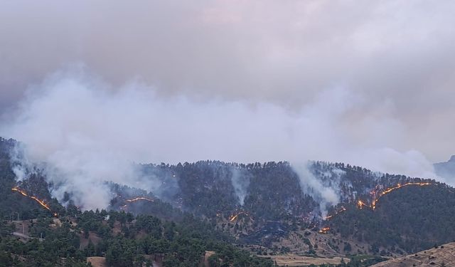 Kahramanmaraş'ta Orman Yangını Kontrol Altında