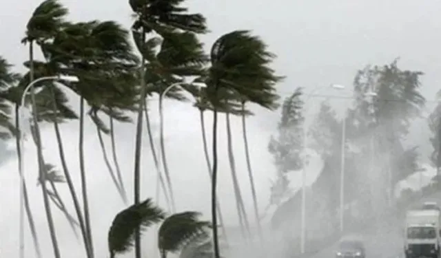 Meteoroloji Karadeniz ve Doğu Anadolu'yu Uyardı!