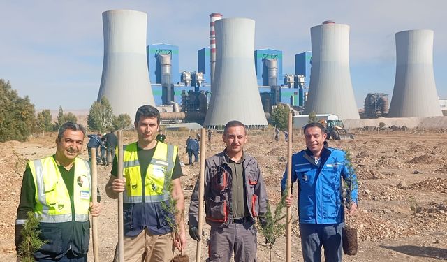 Afşin-Elbistan B Termik’te 1923 Fidan Toprakla Buluştu