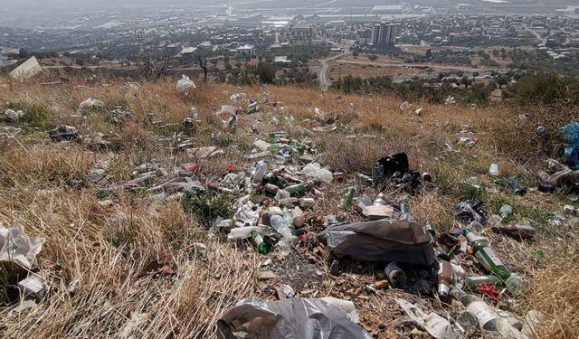 Kahramanmaraş’ta Çevre Katliamı: Zeytinlik Alan Alkol Şişeleriyle Dolu