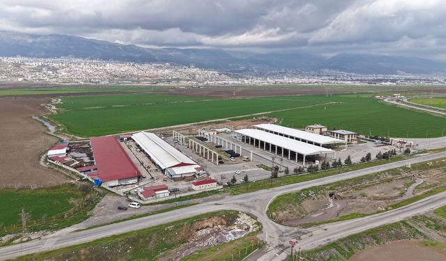 Büyükşehir, 50 Milyonluk Yatırımla Şehre Modern Kesimhane Kazandırıyor