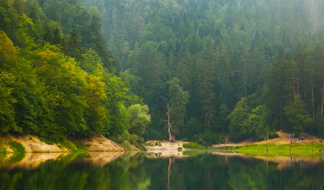 Milli Parklar ve Doğa Korumada Yeni Dönem... Kanun Teklifi TBMM'de Kabul Edildi