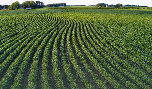 Tarım Arazilerinin Etkin Kullanımı için Hibe Desteği