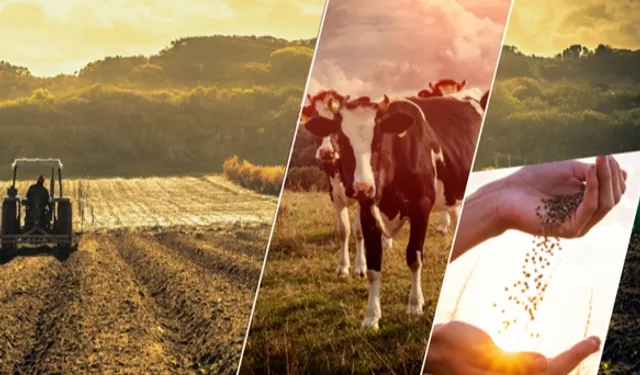 17,4 milyar TL'lik Tarımsal Destek Çiftçilerin Hesabında