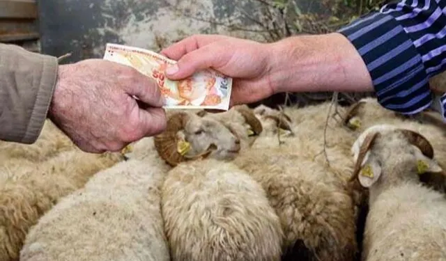 2026 Yılı Kurban Hizmetleri Tebliği 'Resmi'leşti