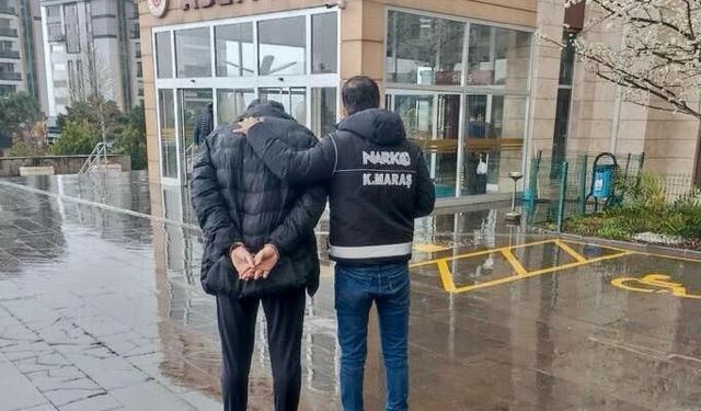 Kahramanmaraş’ta kargo ile Bonzai Sevkiyatı Yakalandı