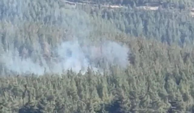 Gaziantep Nurdağı’nda Orman Yangını