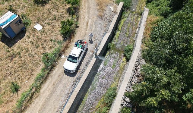 Büyükşehir’den Sivrisinek ve Haşerelere Karşı Etkin Mücadele