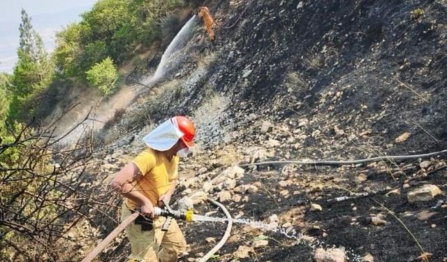 Kahramanmaraş Ahırdağ'daki Orman Yangını kontrol Altına Alındı