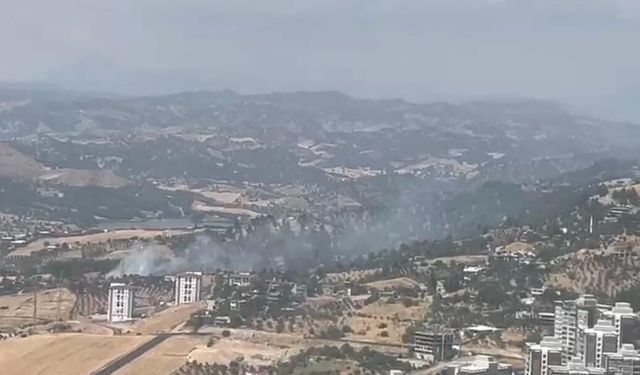 Kahramanmaraş Onikişubat'ta Orman Yangını!