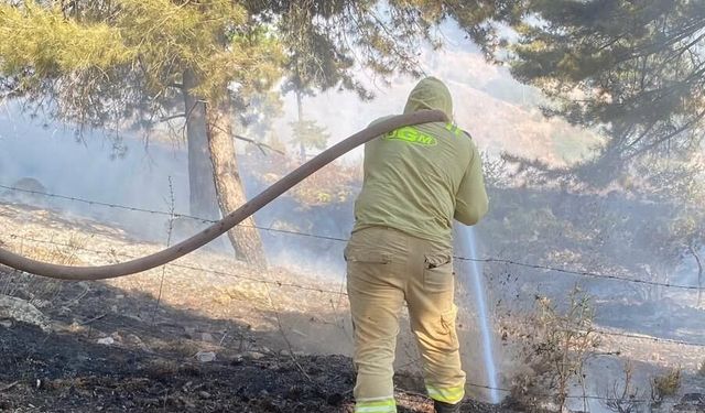 Kahramanmaraş’ta Orman Yangınına Yoğun Müdahale