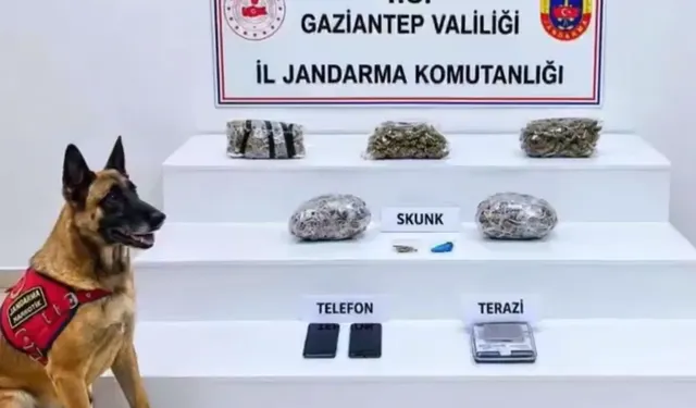 32 İlde Yüzlerce Kilo Uyuşturucu Ele Geçirildi