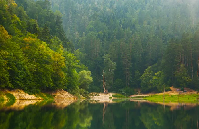 Milli Parklar ve Doğa Korumada Yeni Dönem... Kanun Teklifi TBMM'de Kabul Edildi