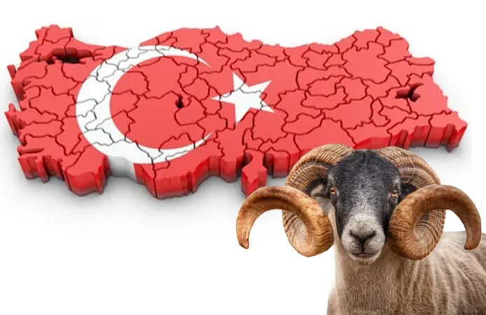Bayramda Yoğun Güne Ara: Tatil Keyfi Başlıyor!