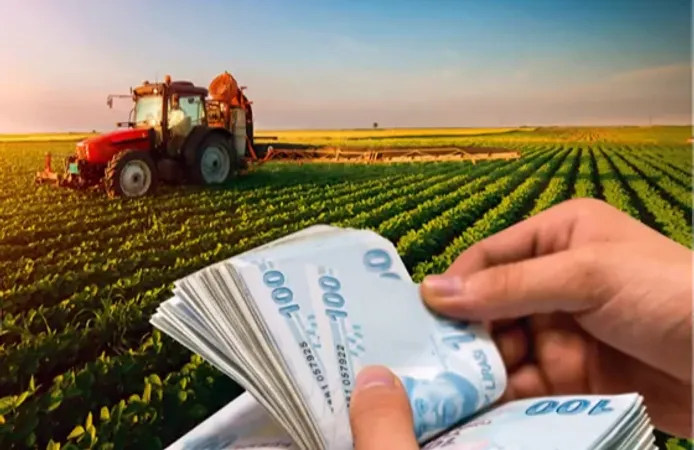 1,3 Milyar TL'lik Tarımsal Destek Ödemeleri Hesaplarda