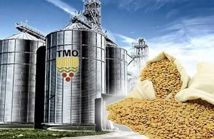 TMO'dan Üreticilere 6,3 Milyar Liralık Ödeme