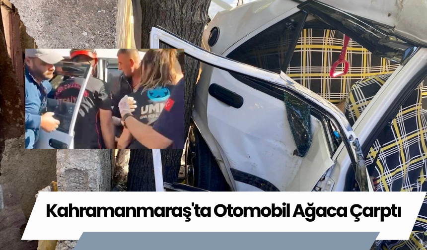 Kahramanmaraş'ta Otomobil Ağaca Çarptı