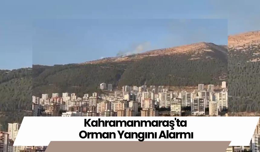 Kahramanmaraş'ta Orman Yangını Alarmı