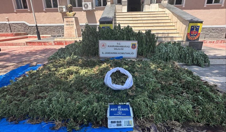 Kahramanmaraş Pazarcık’ta Kenevir Operasyonu: 4 Şüpheli Tutuklandı