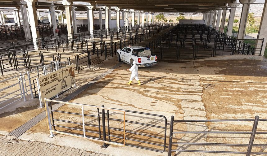 Büyükşehir’den Canlı Hayvan Pazarı’nda Halk Sağlığı İçin Kapsamlı Çalışma