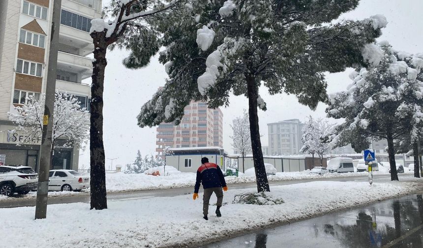 Büyükşehir Kış Mesaisini Sürdürüyor; Kırılan Dallara Anında Müdahale