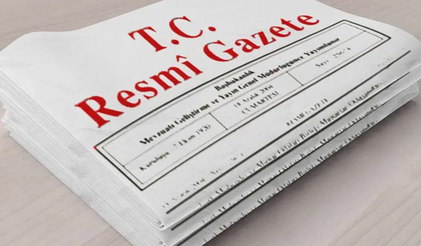 Romanlara Yönelik Yeni Eylem Planı Resmi Gazete'de