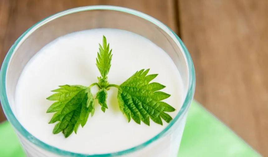 Ramazan'da Susuz Kalmayın... Süt ve Ayran Hidrasyonun Gizli Kahramanları