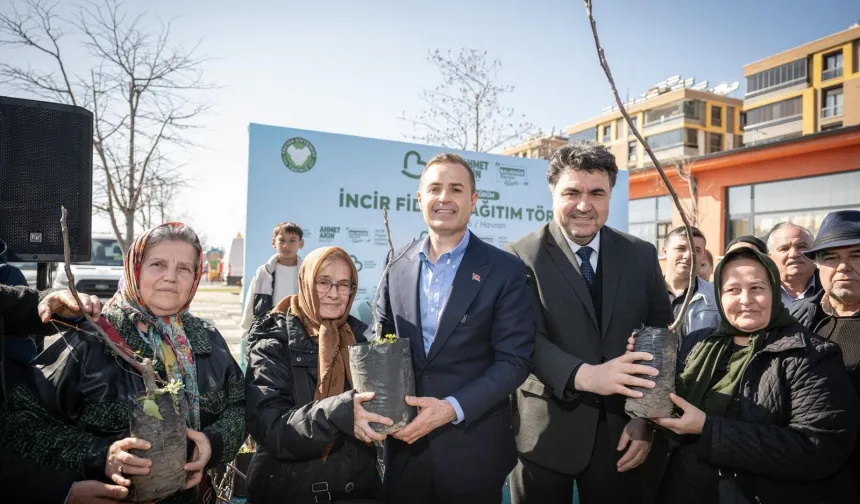 Üreticilere İncir Fidanı Desteği