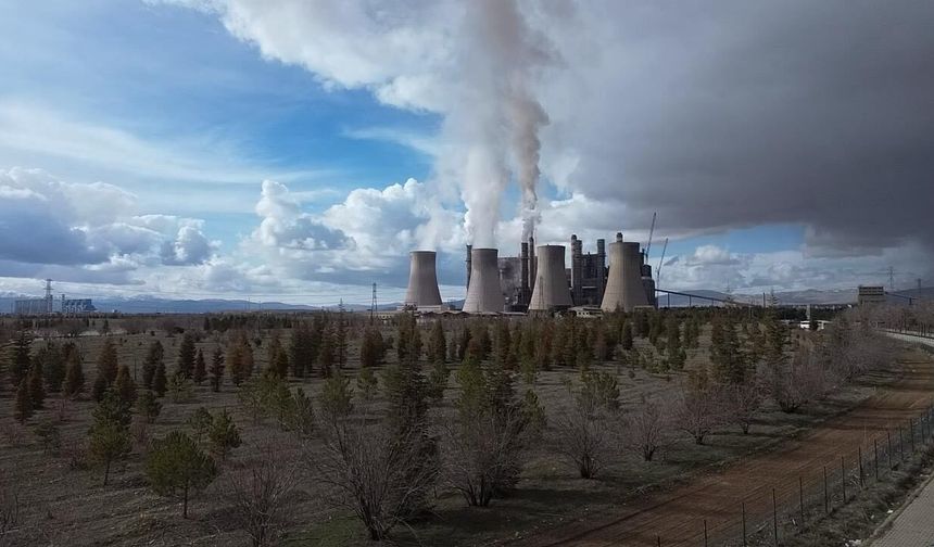 Çelikler Holding’den Sert Açıklama! İddialar Yalanlandı