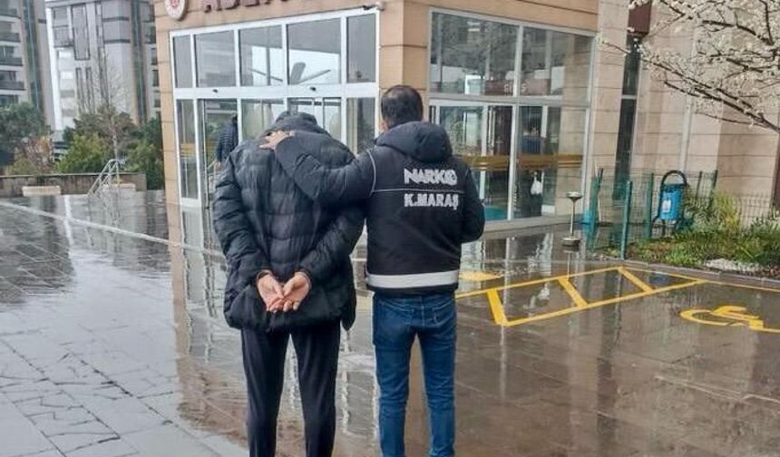 Kahramanmaraş’ta kargo ile Bonzai Sevkiyatı Yakalandı
