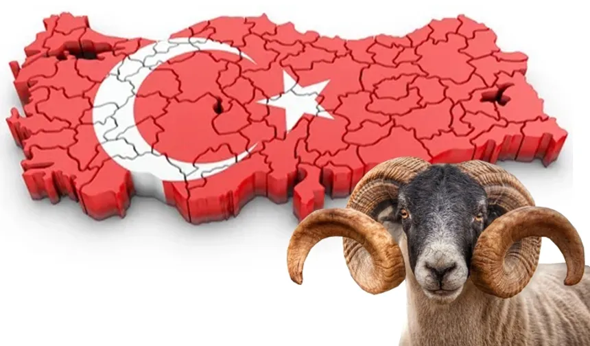 Bayramda Yoğun Güne Ara: Tatil Keyfi Başlıyor!