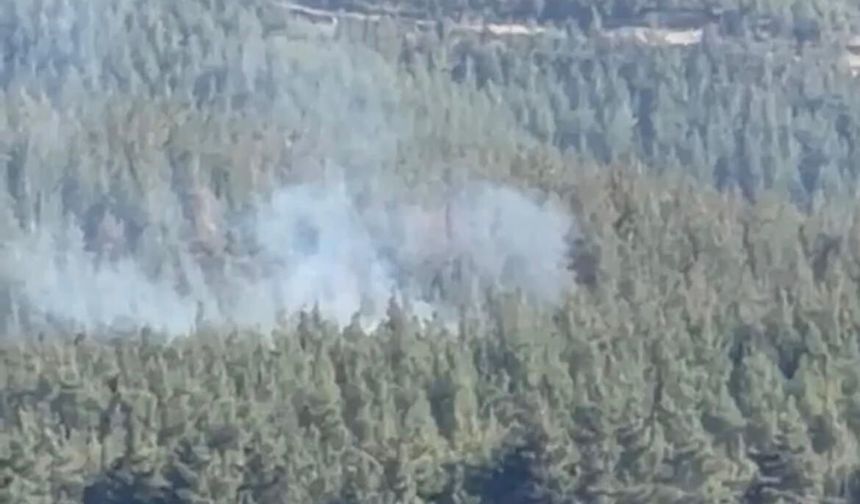 Gaziantep Nurdağı’nda Orman Yangını