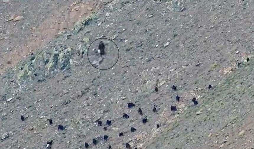 Berit Dağı’nda Kaybolan Kadın AFAD Ekipleri Tarafından Kurtarıldı