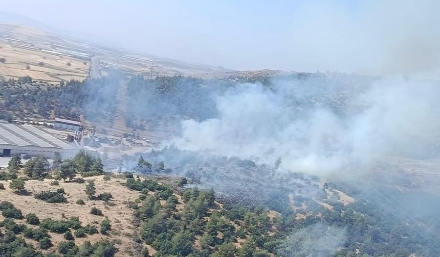 Kahramanmaraş’ta Orman Yangını Kontrol Altına Alındı